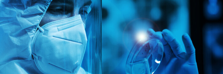 Scientist works in a modern scientific lab using laboratory equipment, microscope and computer...