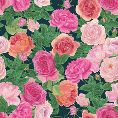 Watercolor  painting detail rose flowers on dark blue background