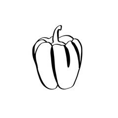 A simple doodle illustration of bright juicy sweet pepper. Sweet Bulgarian pepper.