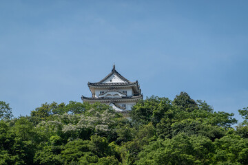 Fototapeta premium 宇和島城
