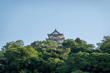Fototapeta premium 宇和島城