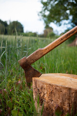 An ax stuck in a tree stump at sunset