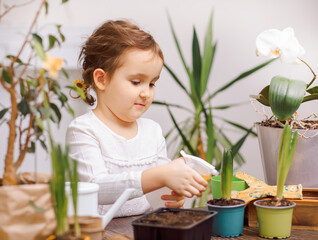 Home gardening. Little kid girl helping to care for home plants, green environment at home