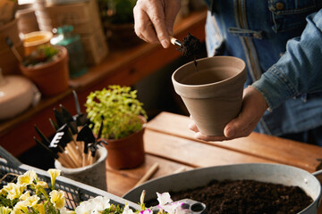 Male gardener planting flower bushes at home