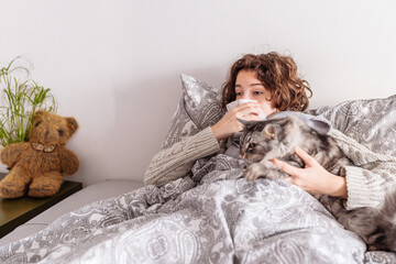 young woman lies in bed in warm clothes, covered with blanket, blows nose, fluffy gray domestic cat...