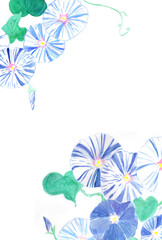 暑中見舞いはがき