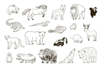 Animals of North America vector line illustrations set