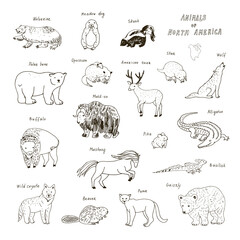 Animals of North America vector line illustrations set