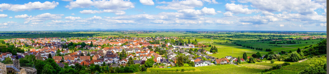 Fototapeta na wymiar Panoramic view of Wachenhein on the Wine Route. Landscape in summer in Rhineland-Palatinate. 