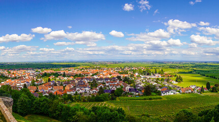 Panoramic view of Wachenhein on the Wine Route. Landscape in summer in Rhineland-Palatinate.
