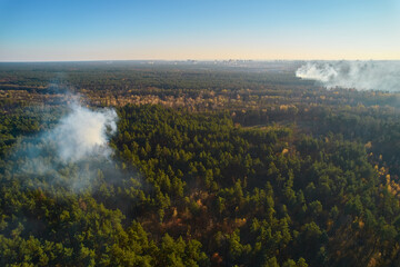 Burning forest with fire and smoke. aerial top view from drone
