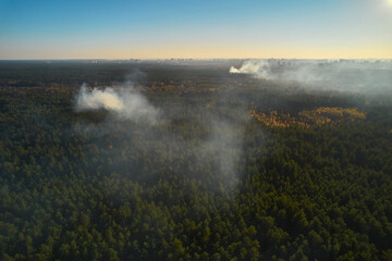 Aerial drone view of a wildfire in forested
