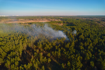 Strong fire in an empty forest. Fire spreads in a united front, strong smoke from the burning place. View from above, vertically from top to bottom.