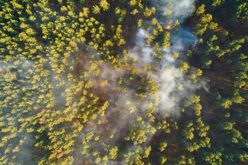Strong fire in an empty forest. Fire spreads in a united front, strong smoke from the burning place. View from above, vertically from top to bottom.