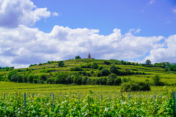 Fototapeta na wymiar Flag tower near Bad Dürkheim with surrounding landscape. Tower on a hill with grape vines in the foreground. 