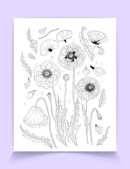 Collection of graphic elements outline drawn poppies