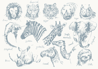 Abstract hand drawn jungle animals illustration