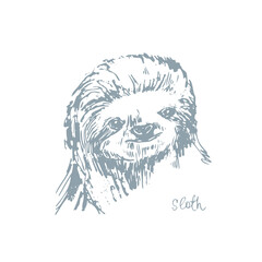Abstract hand drawn jungle sloth animal portrait illustration