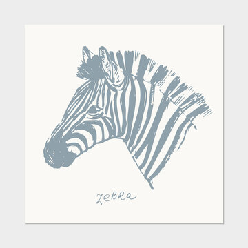 Abstract hand drawn zebra jungle animals portrait illustration.