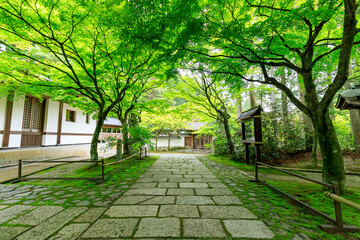 初夏の呑山観音寺　福岡県篠栗町　Nomiyamakannonji temple in early summer. Fukuoka-ken Sasaguri town.
