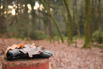 vergessener Handschuh