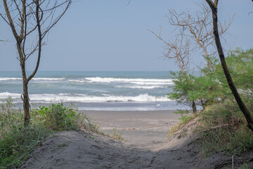 Cemara Sewu beach is one of the famous place for holiday in South coast of Yogyakarta