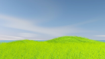 Meadow with sky background. 3D illustration, 3D rendering