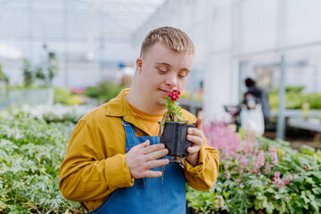 Happy young employee with Down syndrome working in garden centre, taking care of flowers.