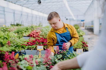 Happy young employee with Down syndrome working in garden centre, taking care of flowers.