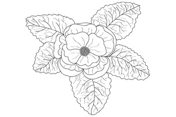 Peony flower painted by you is intended for tattoo, card, March 8, Valentine, fabric printing and other occasions.