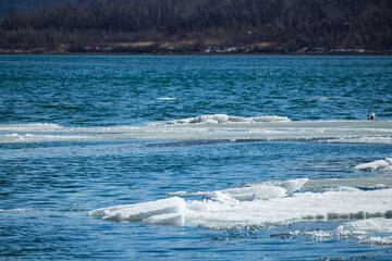 Ice and sea. Blue sea with pieces of ice on the surface of the water.