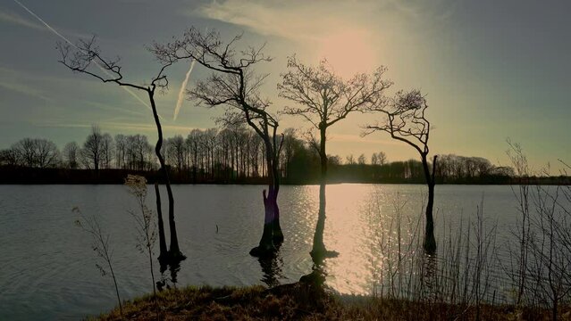Trees bare of leaves, immersed in the lake waters are reflected in the light of the sunset. Assens, Denmark, Europe