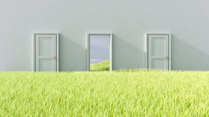 Door on meadow in the empty room with sky background. 3D illustration, 3D rendering