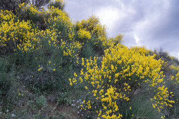 View from the scenic road on the way to the town of Kalavrita in the mountainous east-central part of Achaea, Peloponnes peninsula, Greece.