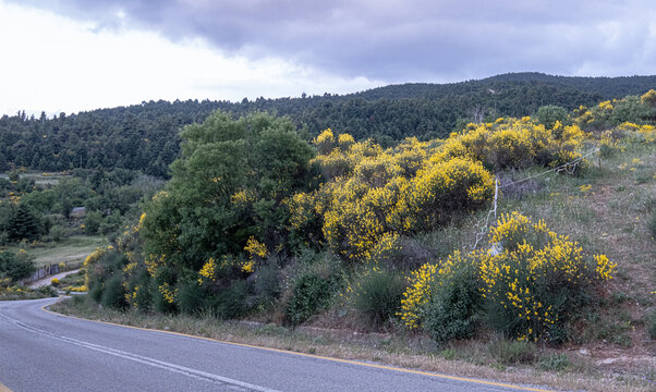 View from the scenic road on the way to the town of Kalavrita in the mountainous east-central part of Achaea, Peloponnes peninsula, Greece.