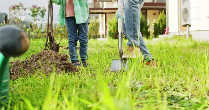 Close up of digging hole in ground for tree to grow. Little cute Caucasian boy helping his father in planting trees in garden on summer day. Small son helping to daddy work in orchard. At summerhouse.