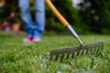 Unrecognizable woman doing garden work raking green grass on backyard, close-up. - obrazy, fototapety, plakaty