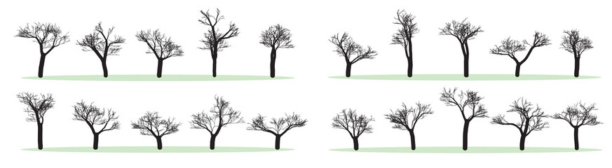 Obraz premium Set of Vector Trees iSilhouettes, Black and White, Without Leaves