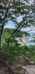 Möns Klint, Insel Mön, Kreidefelsen, Dänemark
