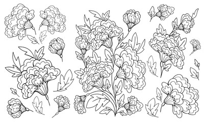 set of elements flowers and leaves bouquet fantasy coloring plants hand drawing holiday doodles sketch on white background contour abstract illustration vector banner poster