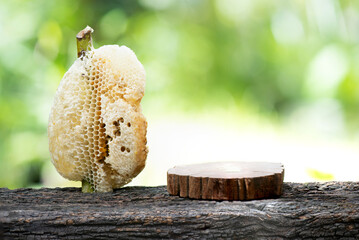 Honey and honeycomb on nature  background.