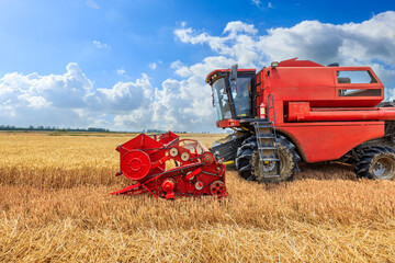 Combine harvester harvests ripe wheat. agricultural scene. Farm wheat field in harvest season.