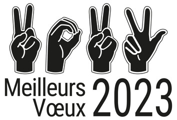MEILLEURS VŒUX 2023 mains langage des sourd rébus 3 - obrazy, fototapety, plakaty