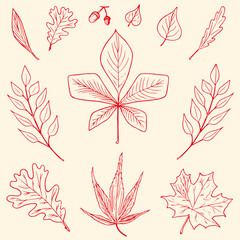 Fototapeta na wymiar A set autumn leaves for website icons, banners, textile prints, stickers. Hello autumn.