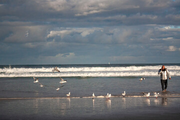 seagulls and a man on Bondi Beach, Sydney