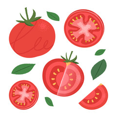Whole tomato, tomato cross sections graphic illustration set. Collection of various tomatoes.