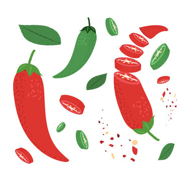 Red and green peppers. Whole chilli, sliced ​​chilli and chilli powder vector illustration set.