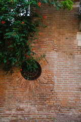charming brick wall and green plant with flowers hanging over