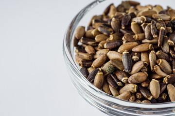 milk thistle seeds on a white acrylic background