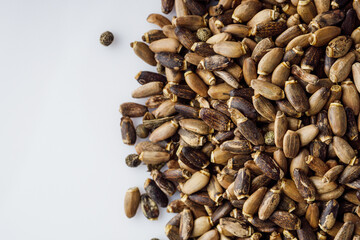 milk thistle seeds on a white acrylic background